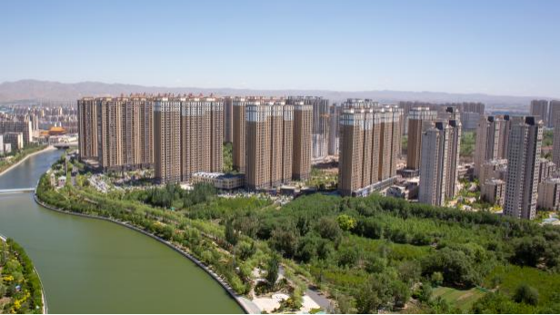 1729643853782036cXpN.png 1729643853782036cXpN.png